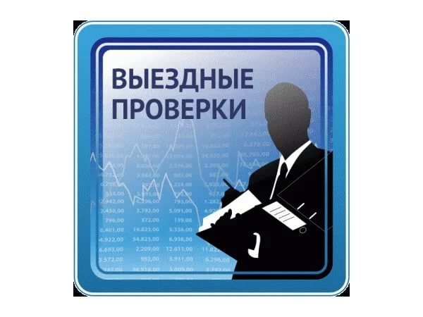 Выездная проверка индивидуальных предпринимателей