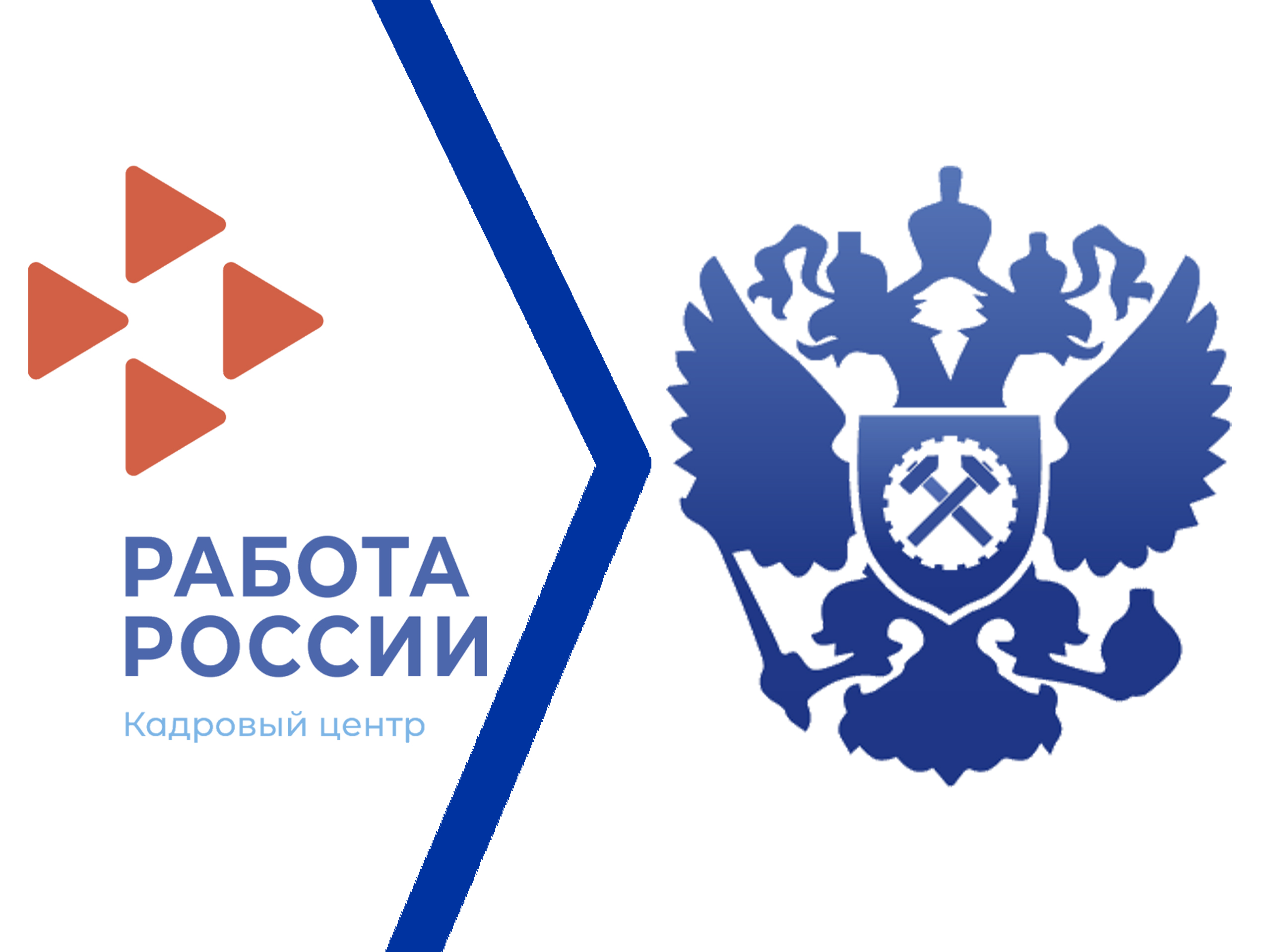 Удобно и быстро – Портал «Работа в России»